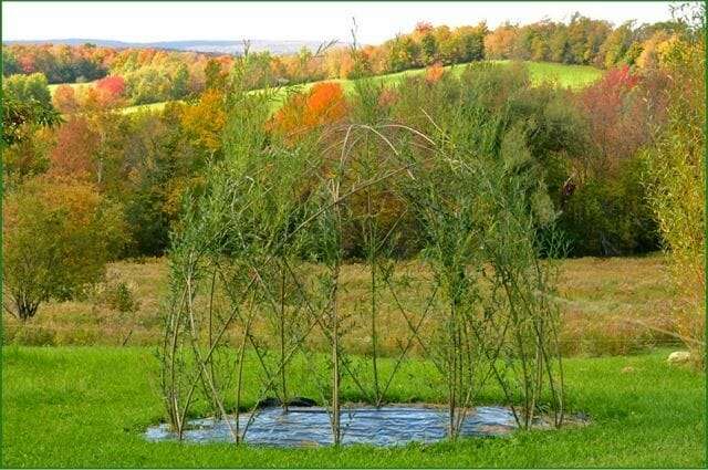 Willow_Dome _TLF-18