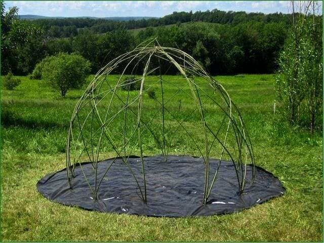 Willow_Dome _TLF