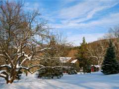 winter view with apples image