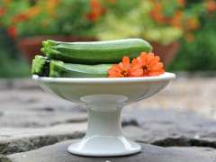 zucchini 1 image