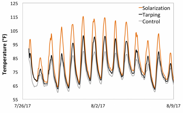 soil solarization and tarping for natural weed control 