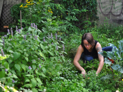 gayla trail image