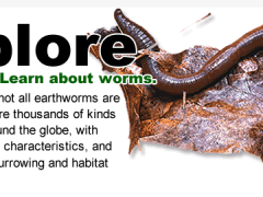 slide3 image